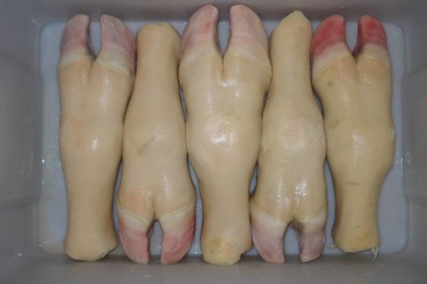 Frozen Beef Feet - Gonçalves & Tortola S.A | GTFoods