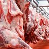 HALAL Fresh-Frozen Beef whole carcass - Gonçalves & Tortola S.A | GTFoods