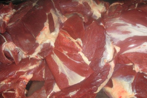HALAL Frozen Boneless Beef-Blade, Chuck, Topside, Silverside - Gonçalves & Tortola S.A | GTFoods