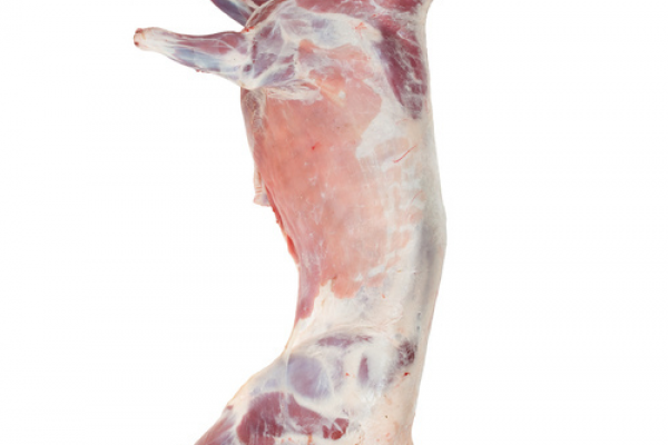 Halal Fresh Frozen Goat meat carcass - Gonçalves & Tortola S.A | GTFoods
